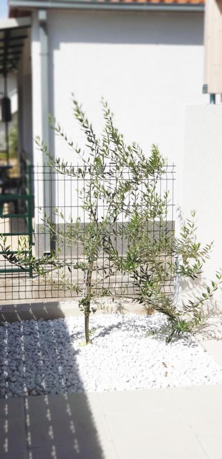 Apartment Kate Trogir Bagian luar foto